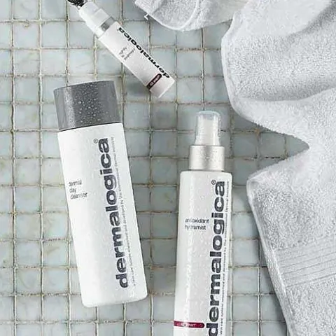 Dermalogica Antioxidant Hydramist 30Ml